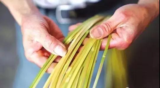 竹子加工設備 竹子加工設備